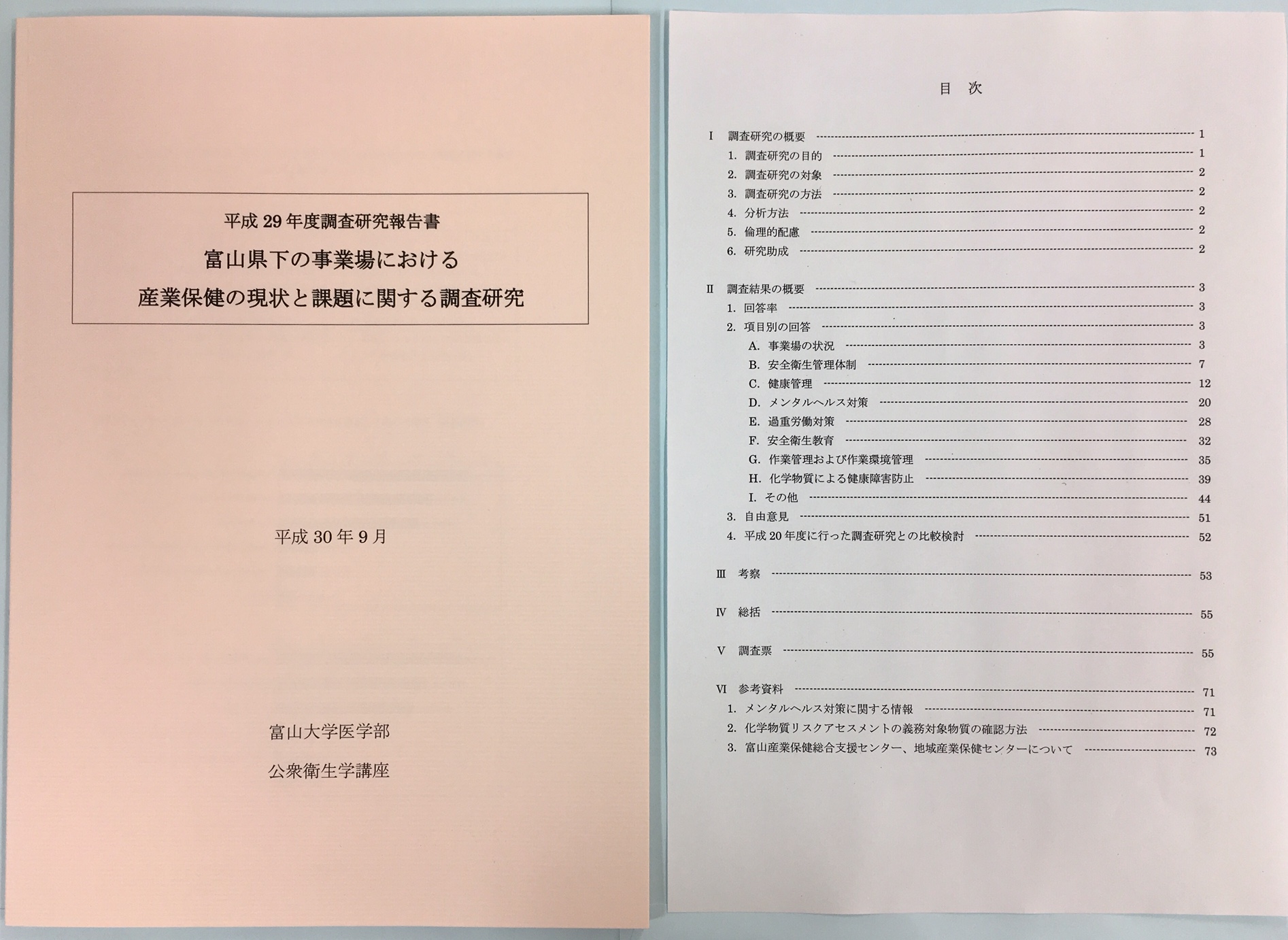 調査研究報告書